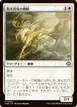 Sunpearl Kirin #29