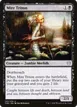 Mire Triton #105