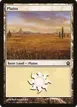 Plains #230
