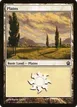 Plains #233