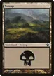 Swamp #239