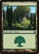 Forest #247