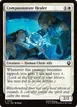 Compassionate Healer #13