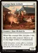 Curious Farm Animals #14