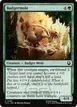 Badgermole #166