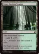 Foggy Bottom Swamp #269