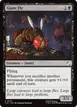 Giant Fly #107