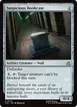 Suspicious Bookcase #170