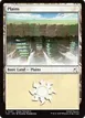 Plains #297