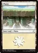 Plains #299