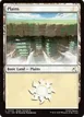 Plains #300
