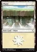 Plains #301