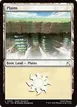 Plains #302