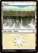 Plains #304