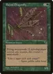 Bayou Dragonfly #215