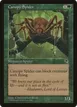 Canopy Spider #217