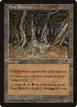 Pine Barrens #321