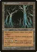 Skyshroud Forest #326