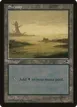 Swamp #342