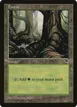 Forest #348