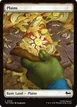 Plains #310