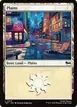 Plains #315