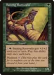 Basking Rootwalla #121