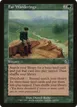 Far Wanderings #125
