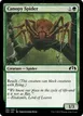 Canopy Spider #166