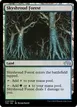 Skyshroud Forest #244