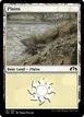 Plains #251