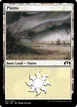 Plains #252