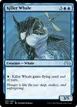 Killer Whale #55