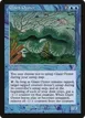 Giant Oyster #22