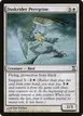 Duskrider Peregrine #14
