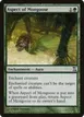 Aspect of Mongoose #191