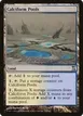 Calciform Pools #270