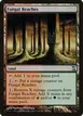 Fungal Reaches #273