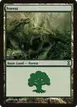 Forest #300