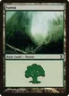 Forest #301