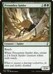 Penumbra Spider #223