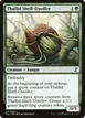Thallid Shell-Dweller #237