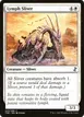 Lymph Sliver #25