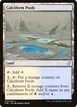 Calciform Pools #275