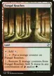 Fungal Reaches #279