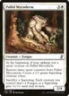 Pallid Mycoderm #31