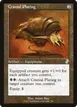 Cranial Plating #392