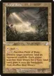 Field of Ruin #407