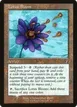 Lotus Bloom #411