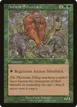 Ancient Silverback #101